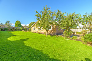 Garden- click for photo gallery